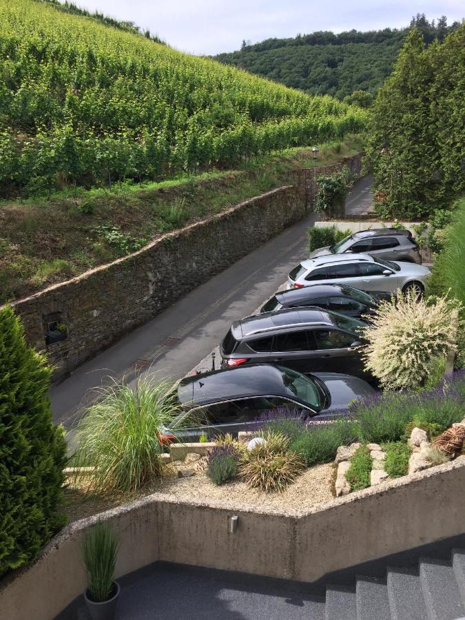 Weinburg -Das Ferienhaus Cochem Ngoại thất bức ảnh