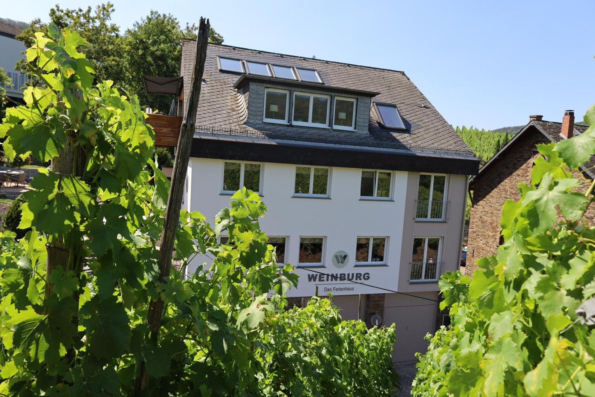 Weinburg -Das Ferienhaus Cochem Ngoại thất bức ảnh