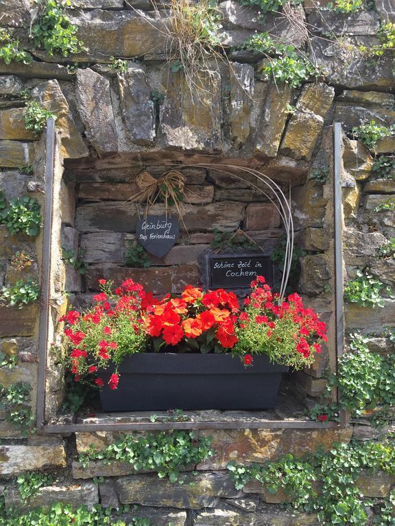Weinburg -Das Ferienhaus Cochem Ngoại thất bức ảnh